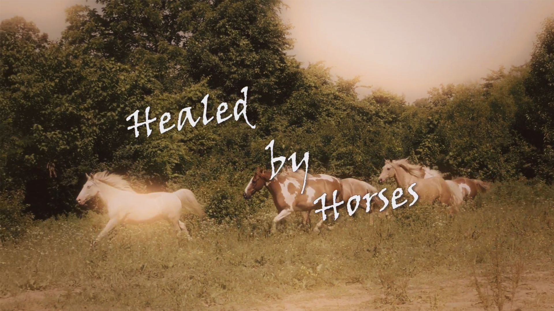 Healed by Horses key art